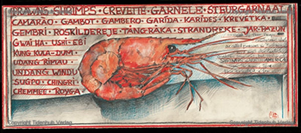 Camarões de Ole West