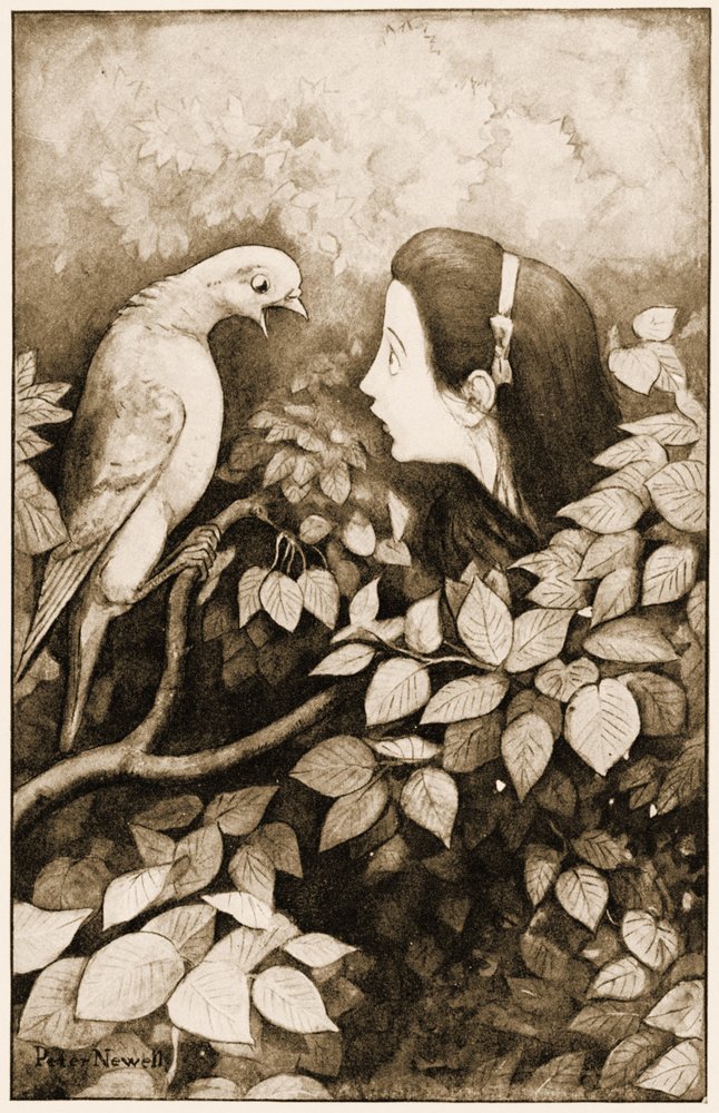 "" Serpent! ", Gritou o Pigeon", ilustração para Alice Carroll&39;s "s Adventures in Wonderland, 1901 de Peter Newell