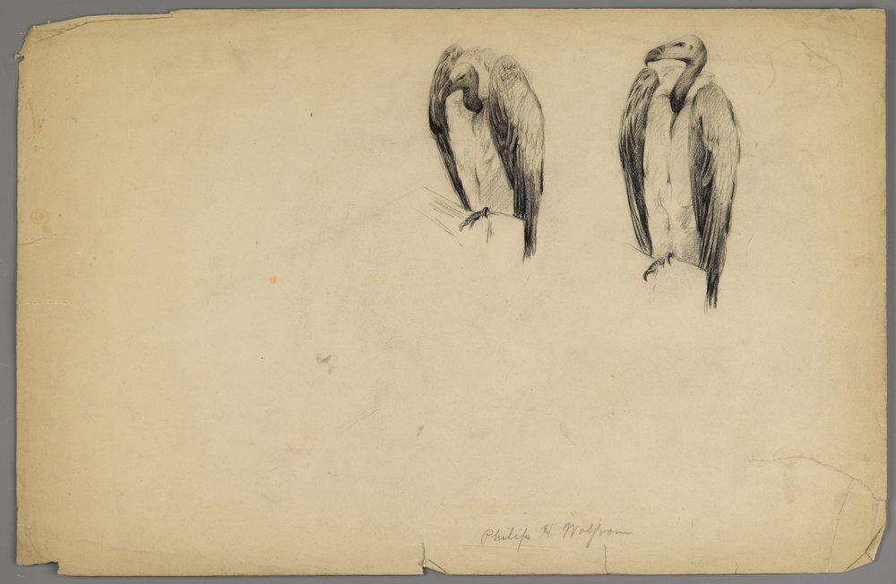 Abutres (carvão sobre papel) de Philip H. Wolfrom