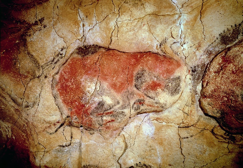 Bisão das Cavernas de Altamira, Alto Paleolítico, c.15000-8000 aC (pintura rupestre) de Prehistoric