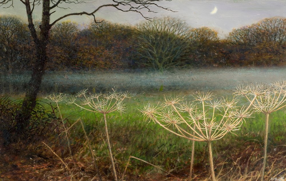 dezembro ao anoitecer: nevoeiro sobre os campos (óleo sobre cartão) de Raymond Booth