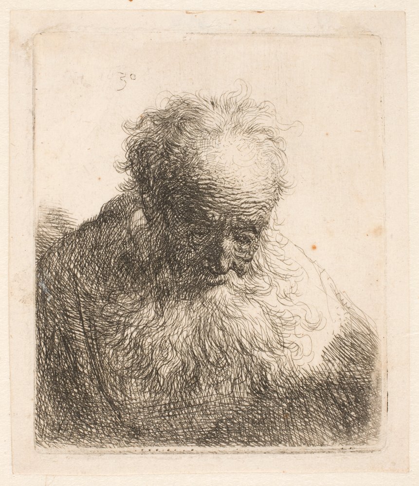 Busto de um velho com barba esvoaçante: a cabeça inclinada para a frente: ombro esquerdo sem sombra de Rembrandt van Rijn