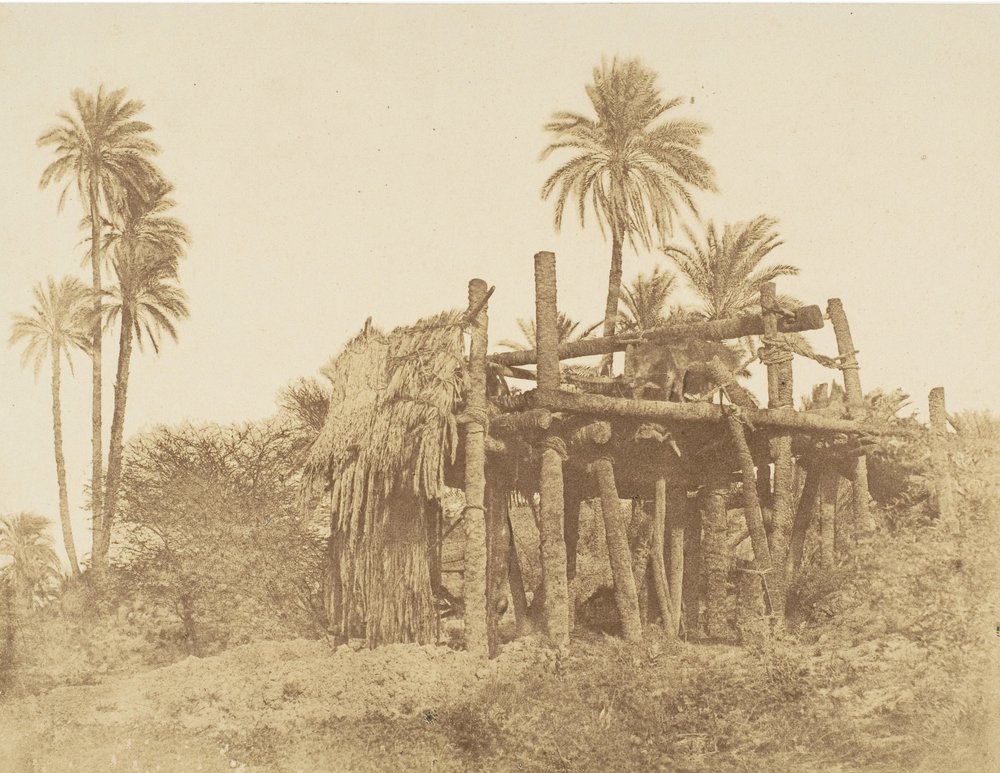 Nubian Sakkieh, ou Water Wheel, ca. 1856. de Robert Murray.