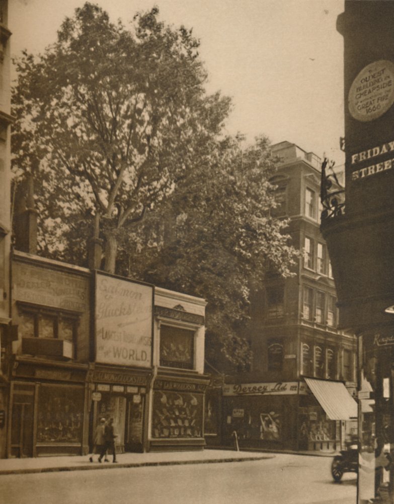 'Um recluso favorito da cidade: o plátano em Cheapside', c1935. de SO Gorse