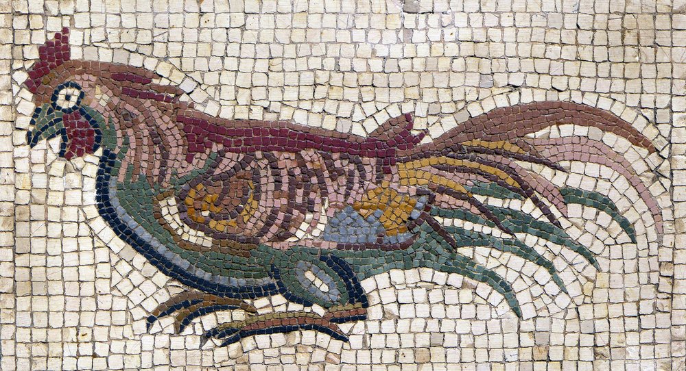 Galo multicolorido do chão de uma villa romana na Tunísia (mosaico) de School Roman