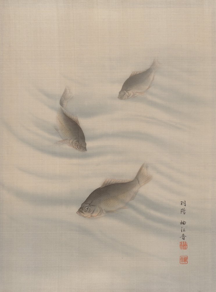 Peixes Natação, ca. 1890-92. de Seki Shuko