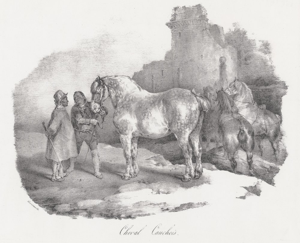 Cheval Cauchois (Um cavalo autóctone de Caux, na Normandia) de Theodore Gericault