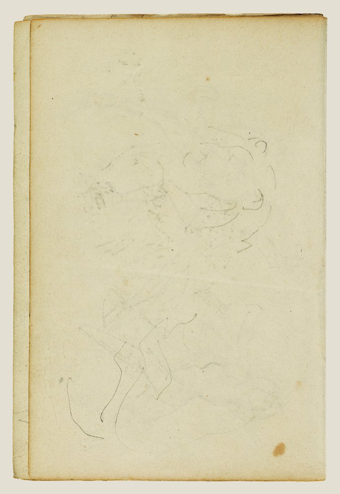 Esboços da cabeça e das patas traseiras de um leão de Theodore Gericault