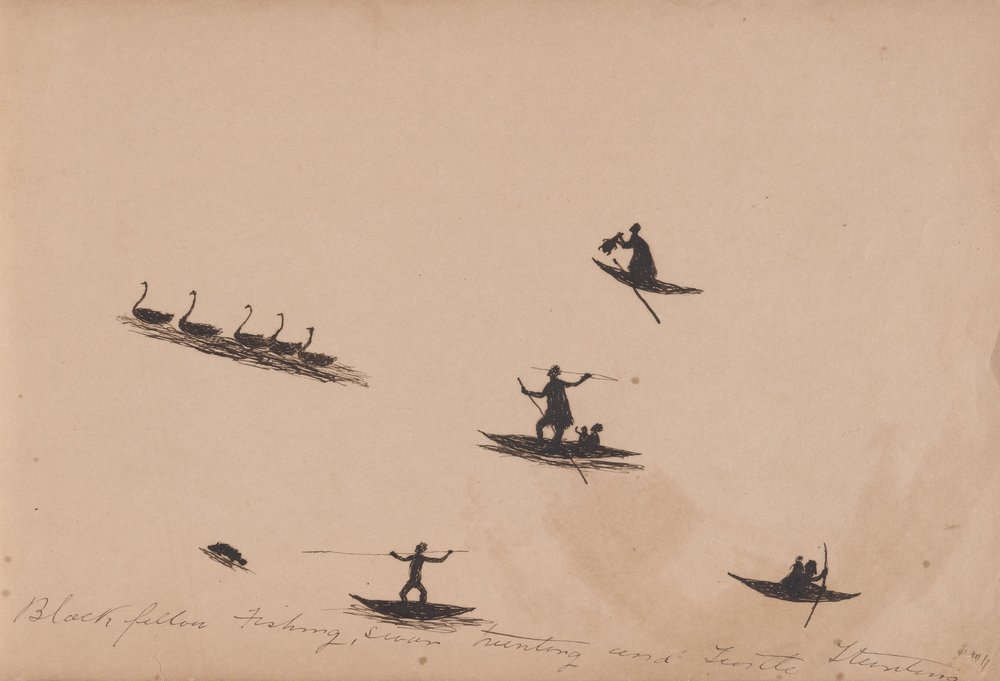 Povo Kwatkwat - Homens negros a pescar, a caçar cisnes e a caçar tartarugas - Caderno de actividades aborígenes de Tommy McRae