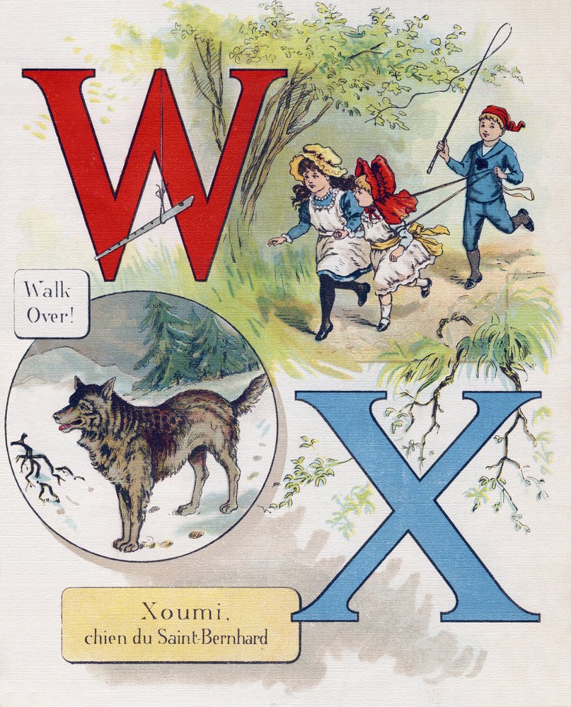 Carta W e X: Caminhe e Xoumi, cão de São Bernardo. Gravura em "ABC L