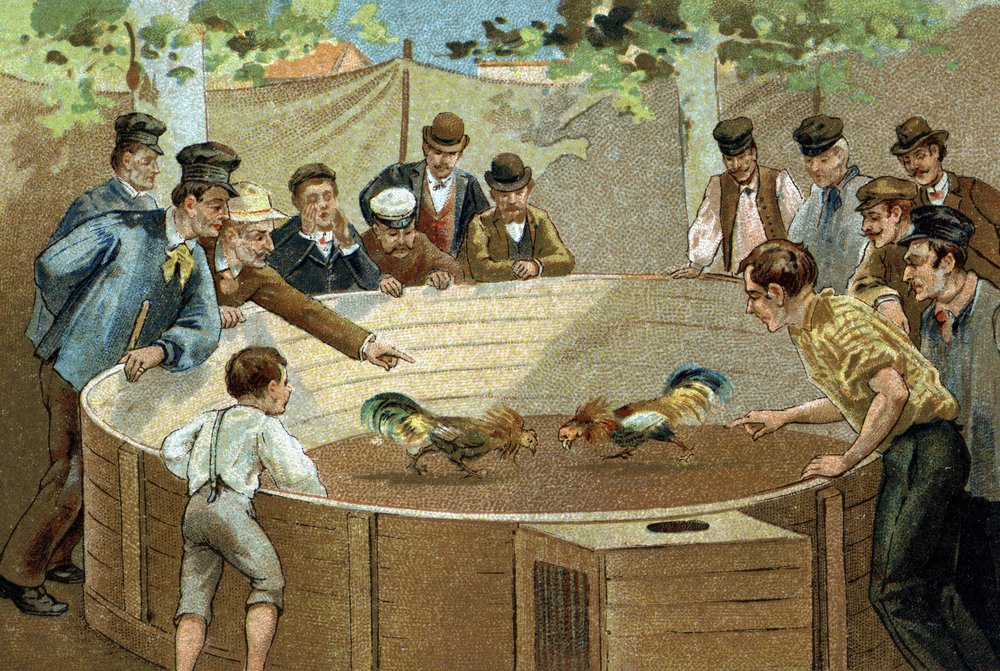 Antigo costume celebrado na região da Flandres: luta de galos. Cromolitografia do final do século XIX. de Unknown artist