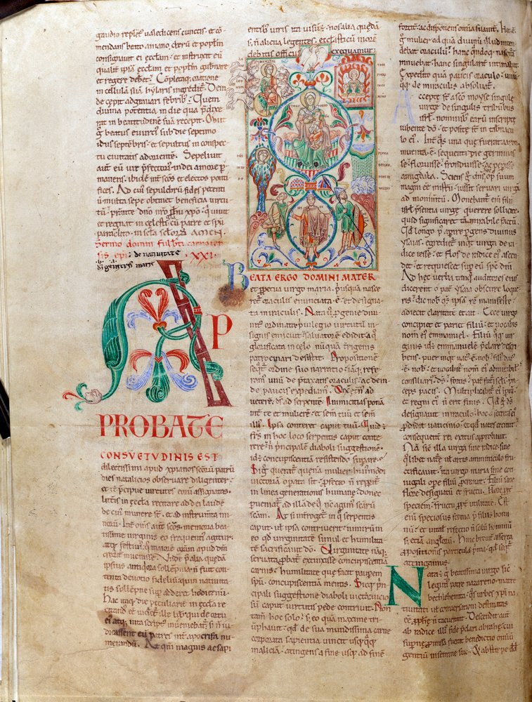 A árvore do Jesse. Manuscrito em miniatura "Lectiaire de Citeaux de Unknown artist