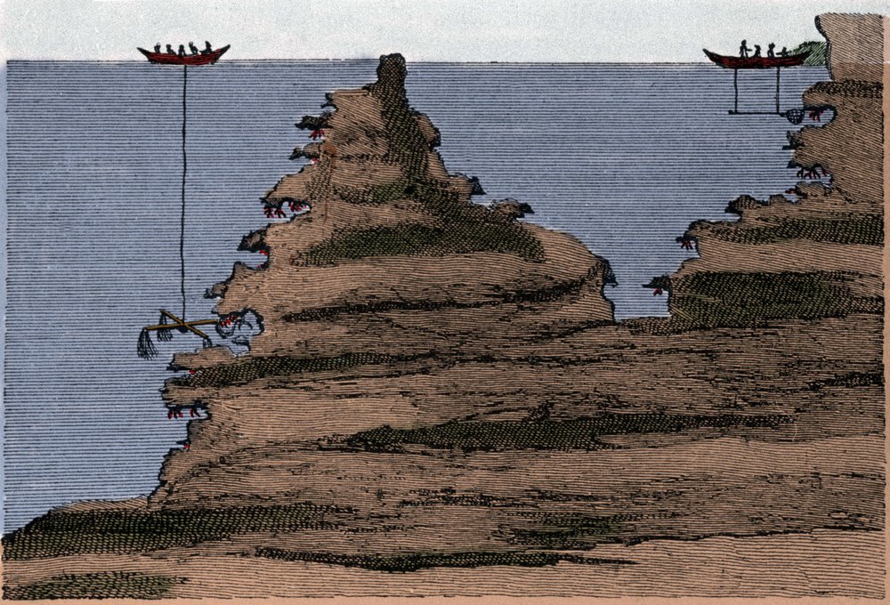 Utilização de dois tipos de redes para a pesca do coral. Para a direita o salabro, para a esquerda o ofício. Gravura de "História Física do Mar" pelo conto Marsilli, Amsterdam de Unknown artist