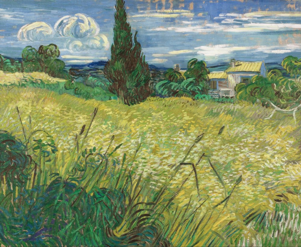 Campo de trigo verde com cipreste | Vincent van Gogh