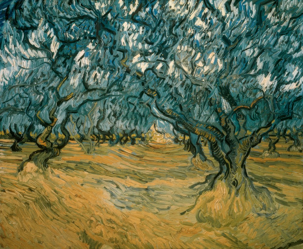 oliveiras | Vincent van Gogh | Impressão de arte