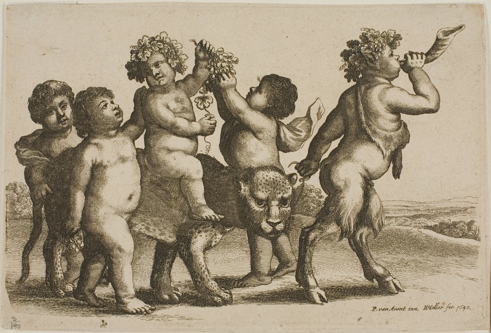 Jovem Baco montando um leopardo liderado por um sátiro soprando um chifre de Wenceslaus Hollar