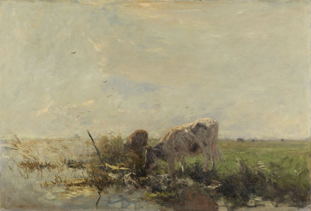 Vacas numa poça de Willem Maris