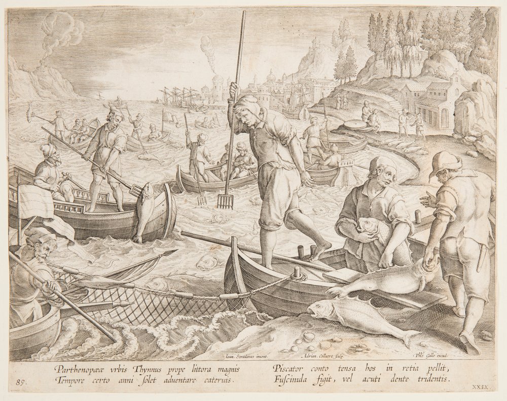 Pesca de atum de after Jan van der Straet, called Stradanus