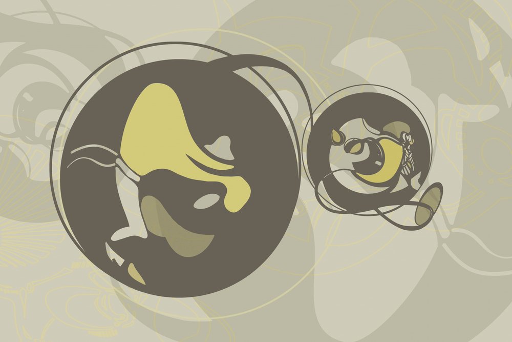 Formas Orgânicas Dinâmicas de Alejandra Winkhaus