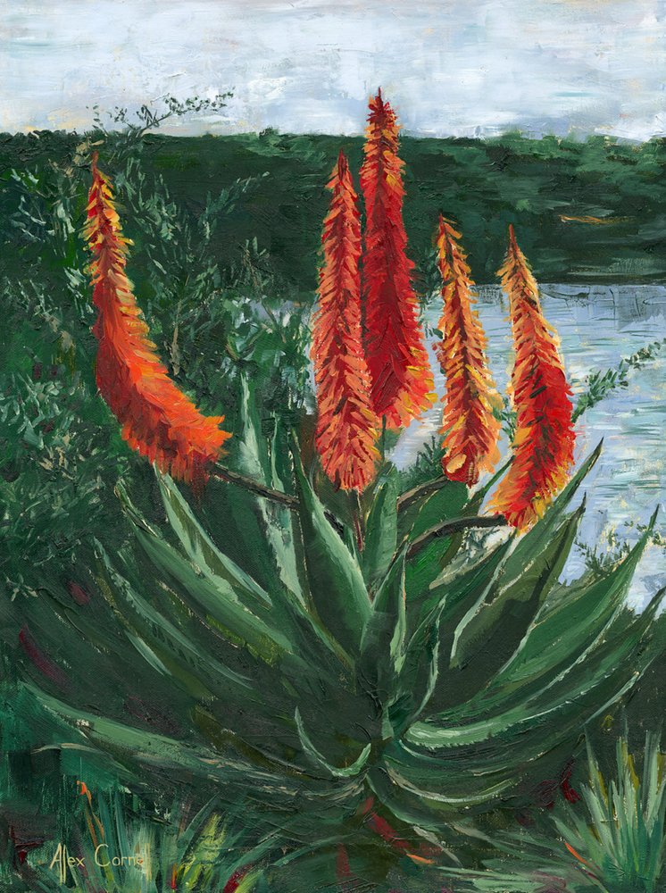 O vibrante Lago Aloe de Alex Cornell