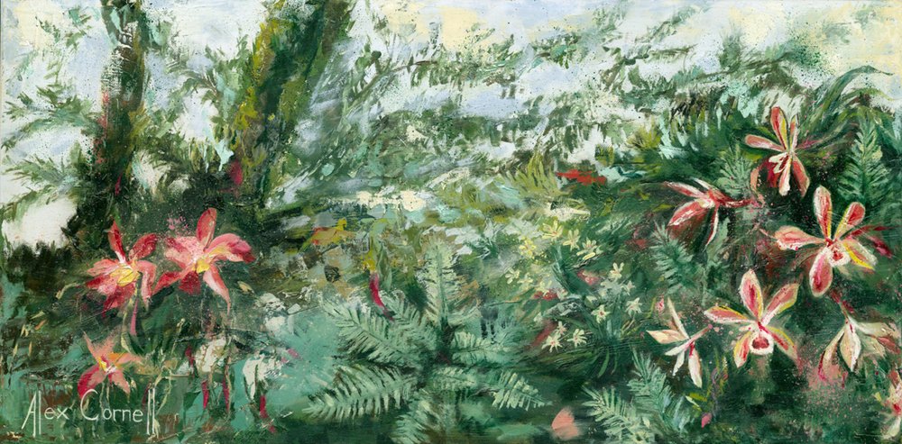Orquídeas tropicais vibrantes de Alex Cornell