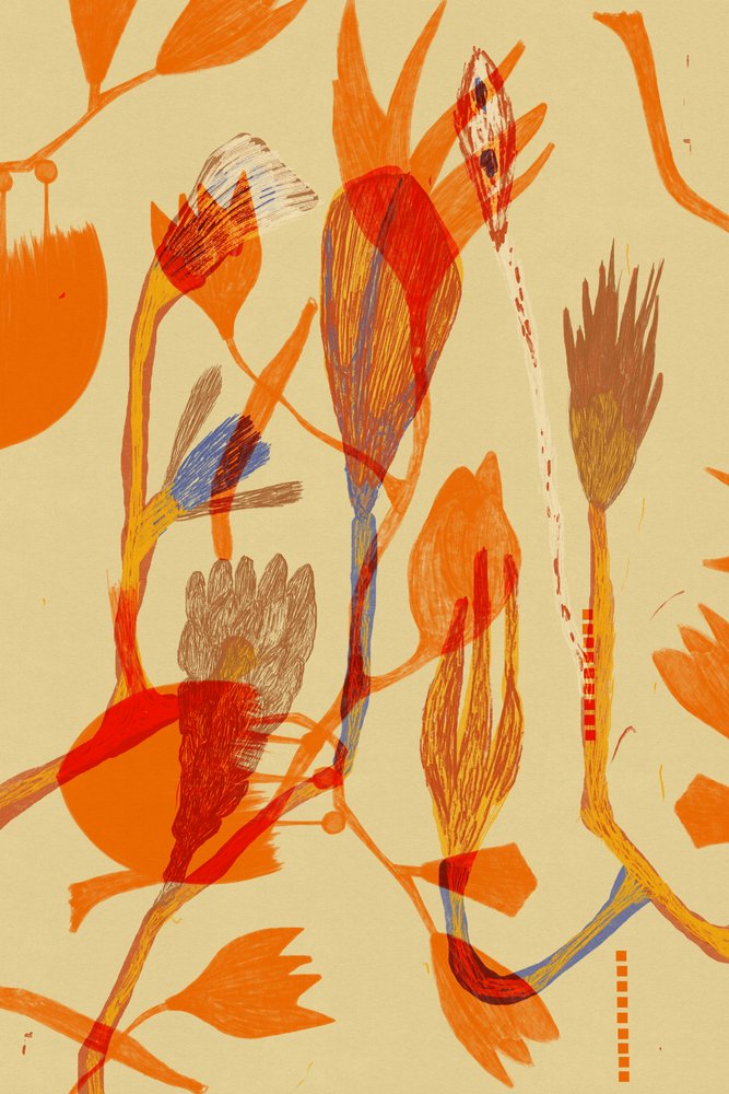 Dia de Alexander Adiels