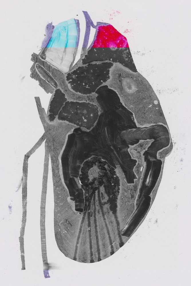 Média de Alexander Adiels