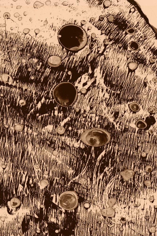 Oxigénio de Alexander Adiels