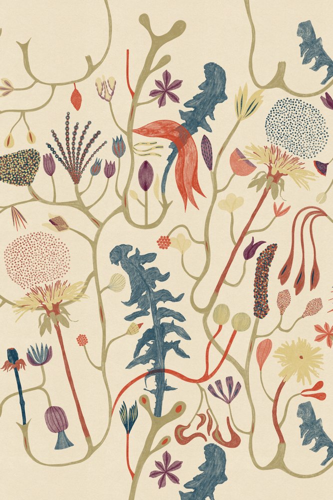 Atuar de Alexander Adiels