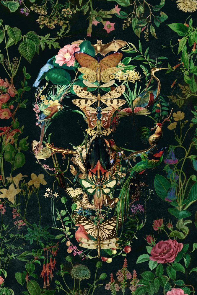 Crânio da Natureza Negra de Ali Gulec