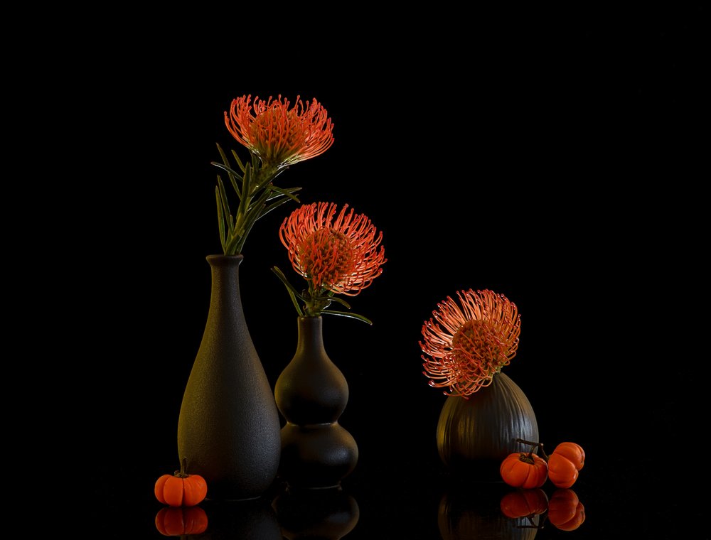 Natureza morta com proteas de outono de Alice Sheng