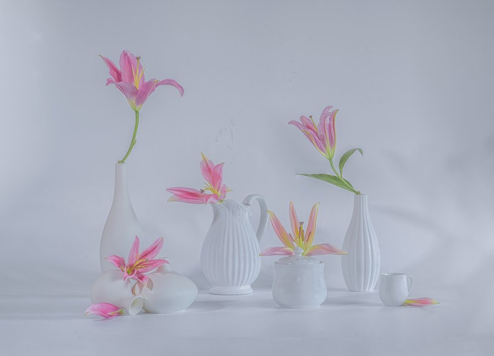 Lírios cor-de-rosa delicados de Alice Sheng