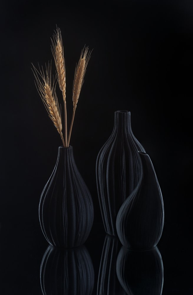 Natureza morta elegante em tons escuros de Alice Sheng