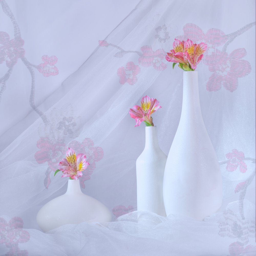 Flores Rosas Elegantes de Alice Sheng