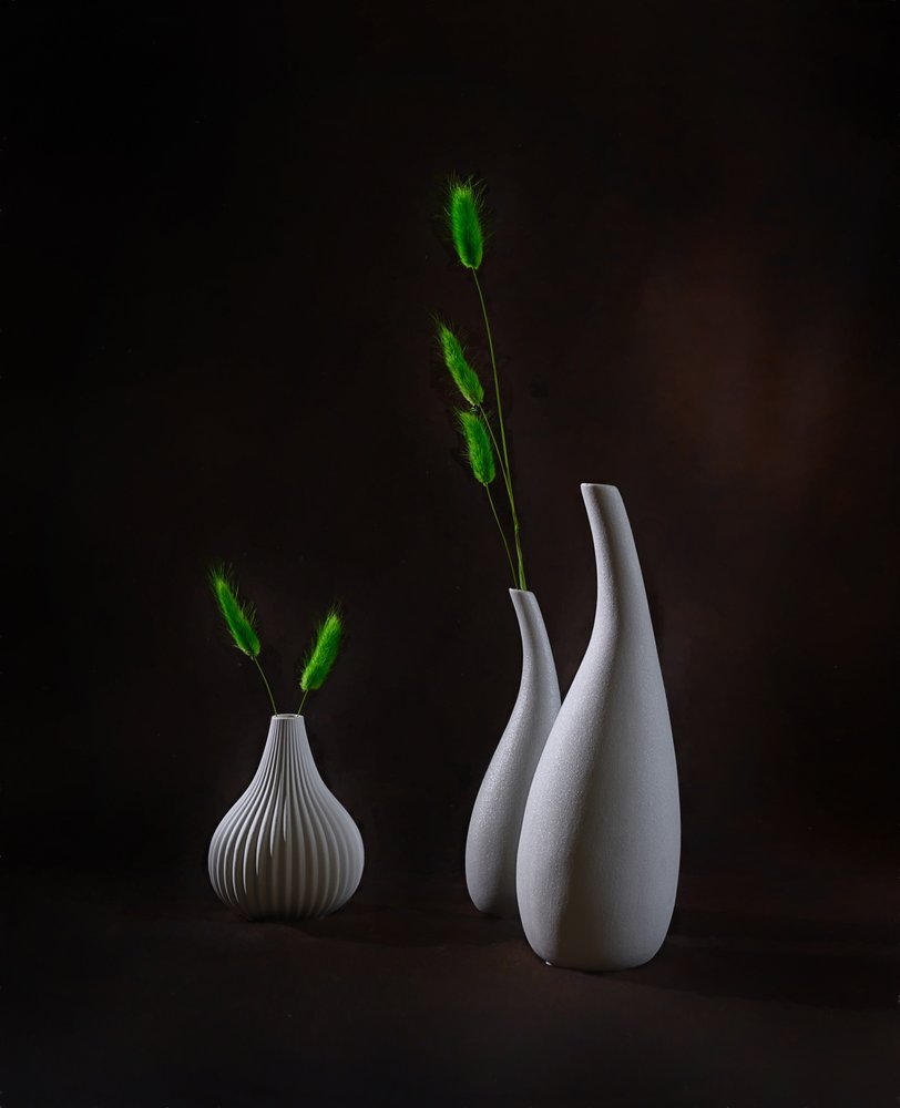 Vasos elegantes com plantas de Alice Sheng