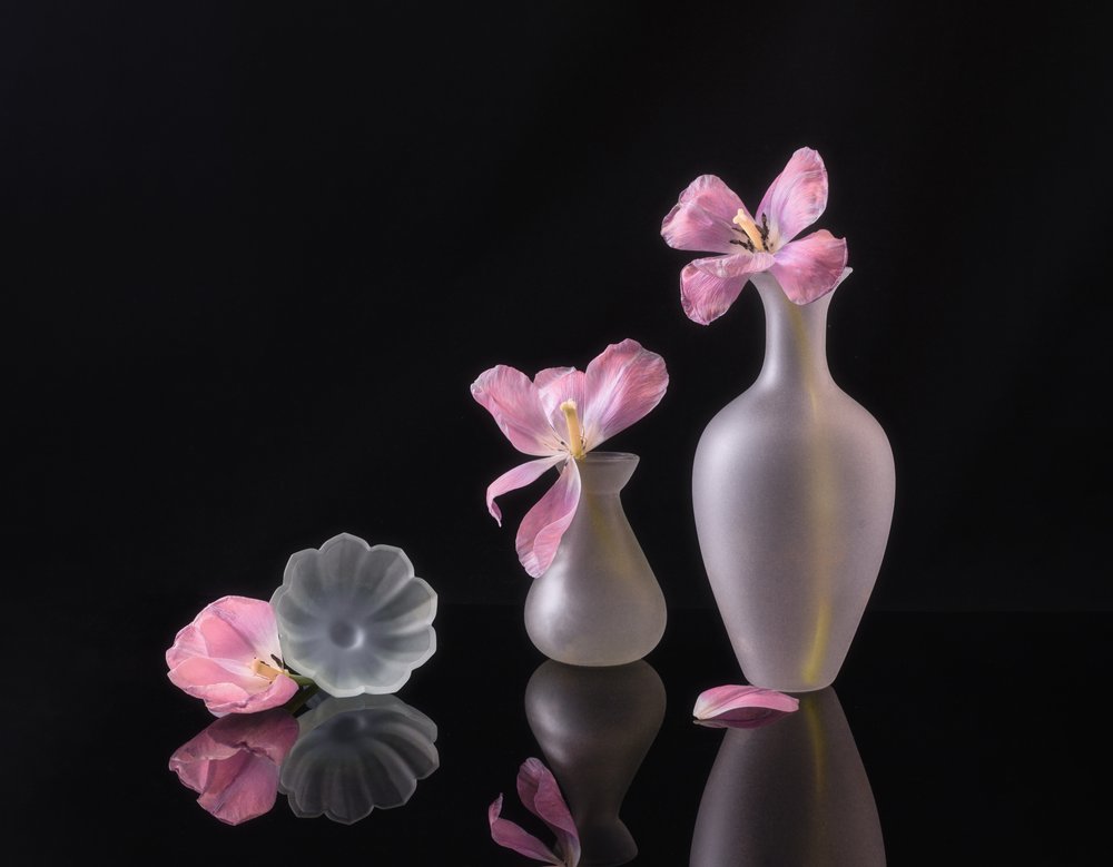Tulipas cor-de-rosa desbotadas de Alice Sheng