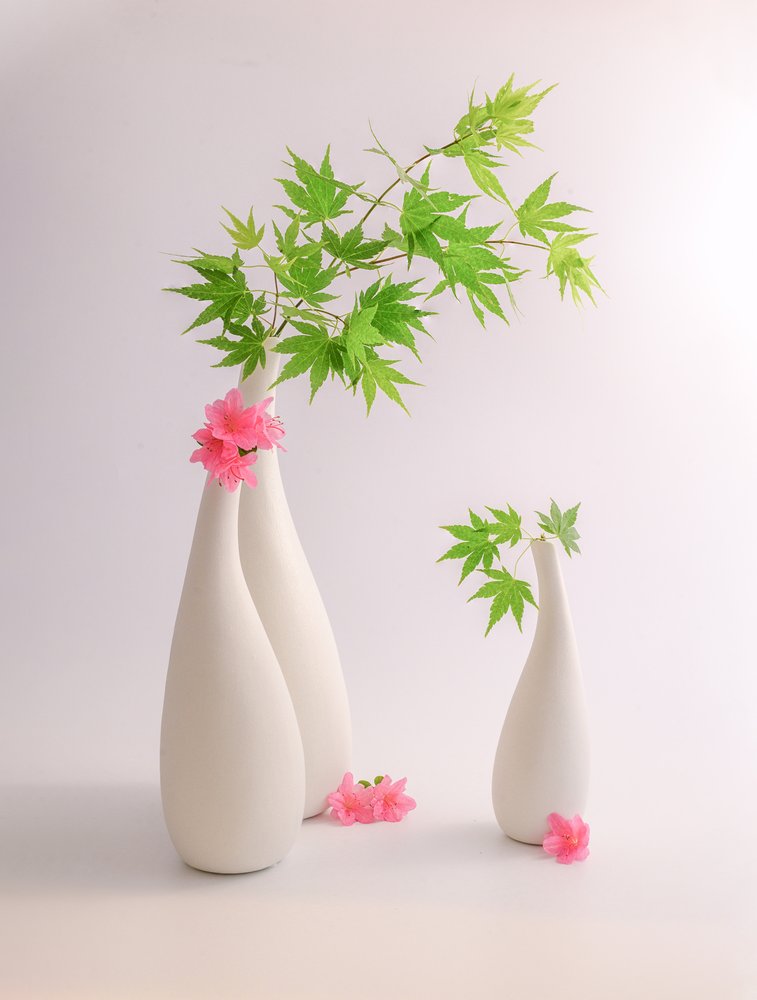Folhas verdes, flores cor-de-rosa de Alice Sheng