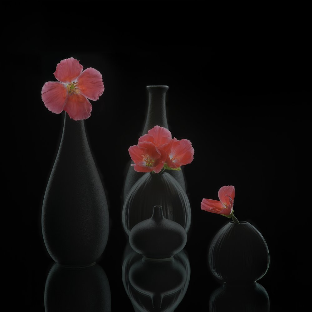 Vasos florais minimalistas de Alice Sheng