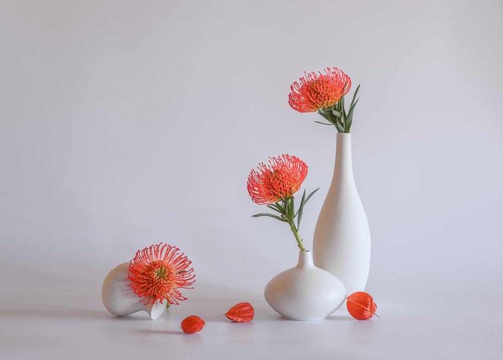 Vasos Protea Laranja de Alice Sheng