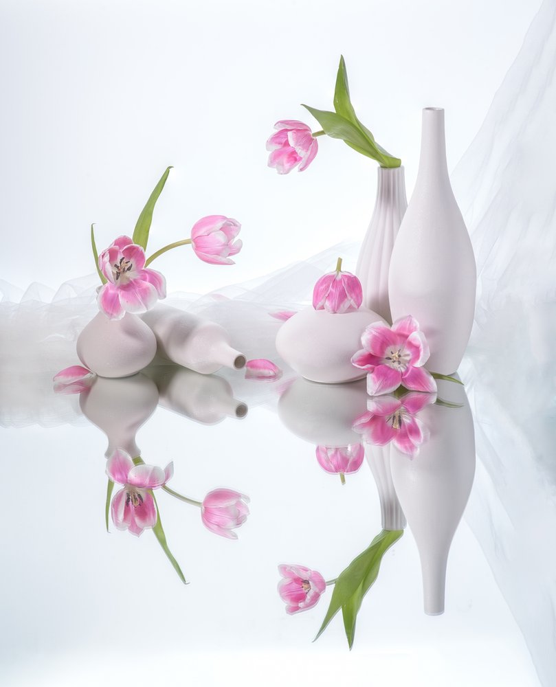 Reflexões sobre a Tulipa Rosa de Alice Sheng