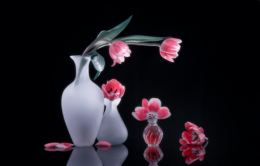 Natureza morta com tulipas cor-de-rosa de Alice Sheng