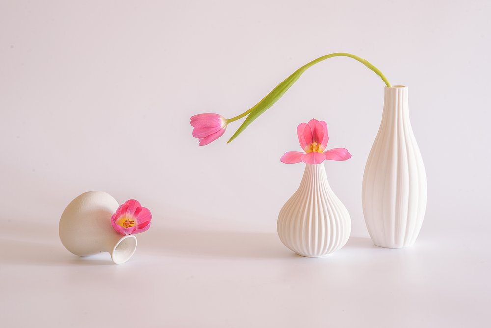 Tulipas cor-de-rosa em vasos brancos de Alice Sheng