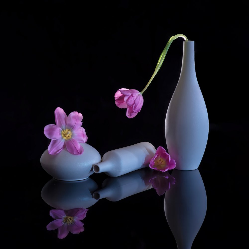 Tulipas roxas refletidas de Alice Sheng