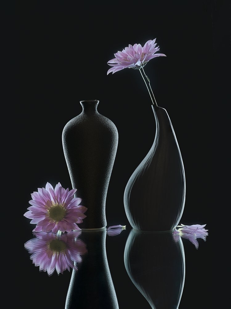 Reflexões Florais Serenas de Alice Sheng