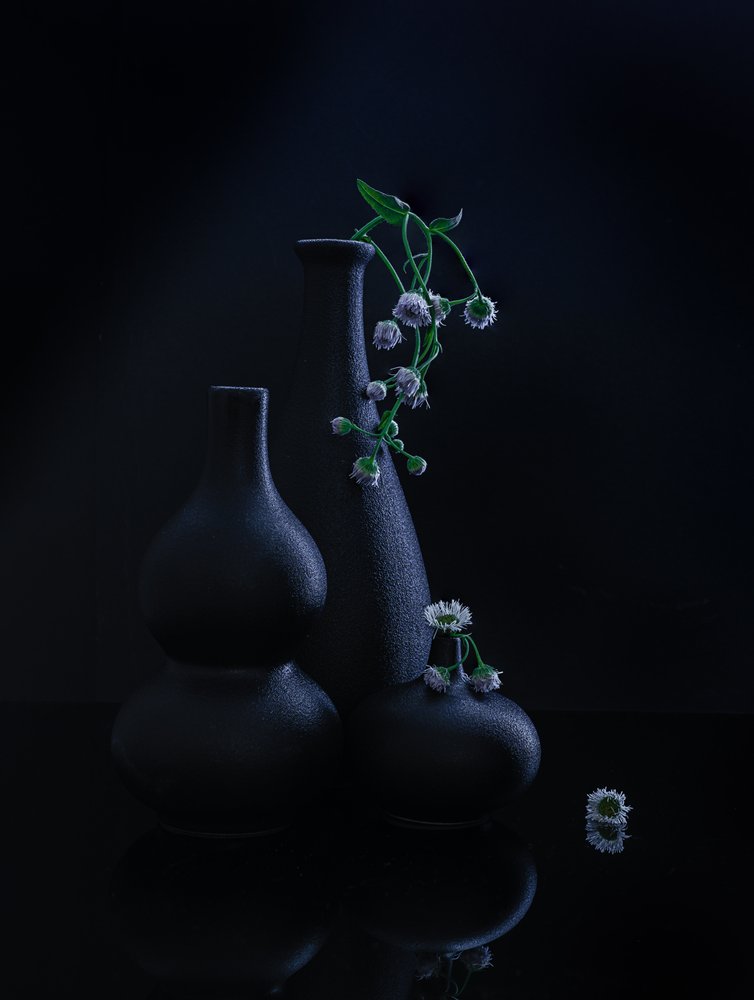 Vasos e Flores Serenos de Alice Sheng