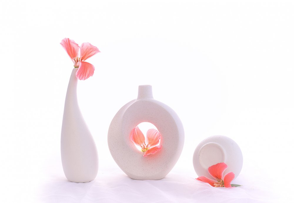 Natureza morta em rosa suave de Alice Sheng