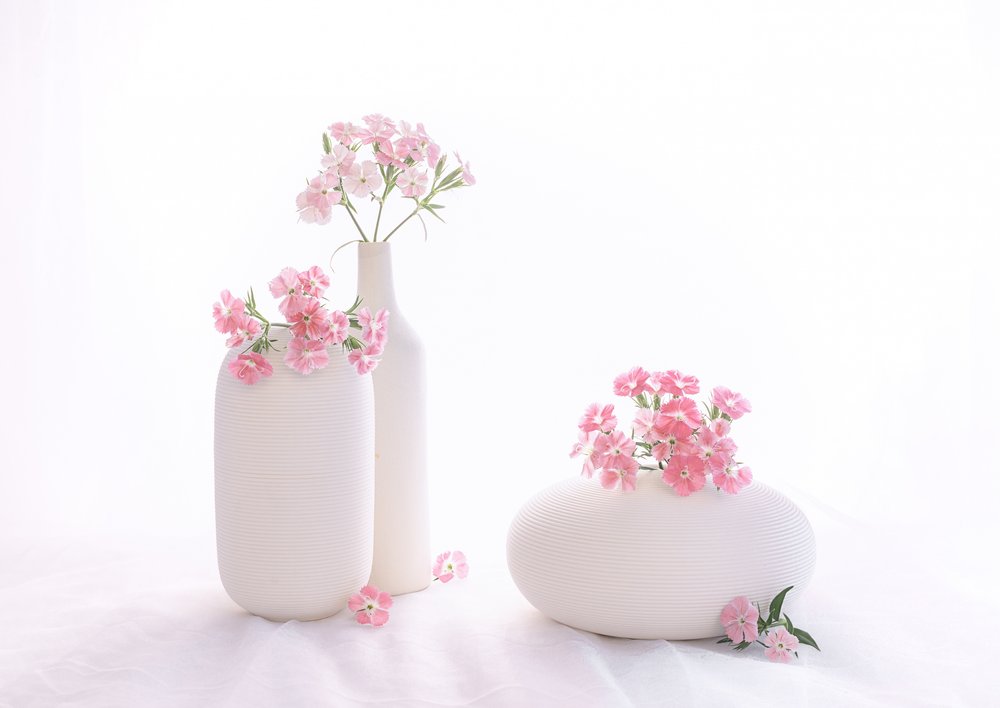 natureza morta 114 de Alice Sheng