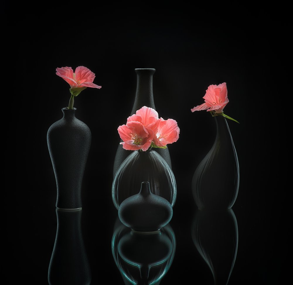 natureza morta 45 de Alice Sheng