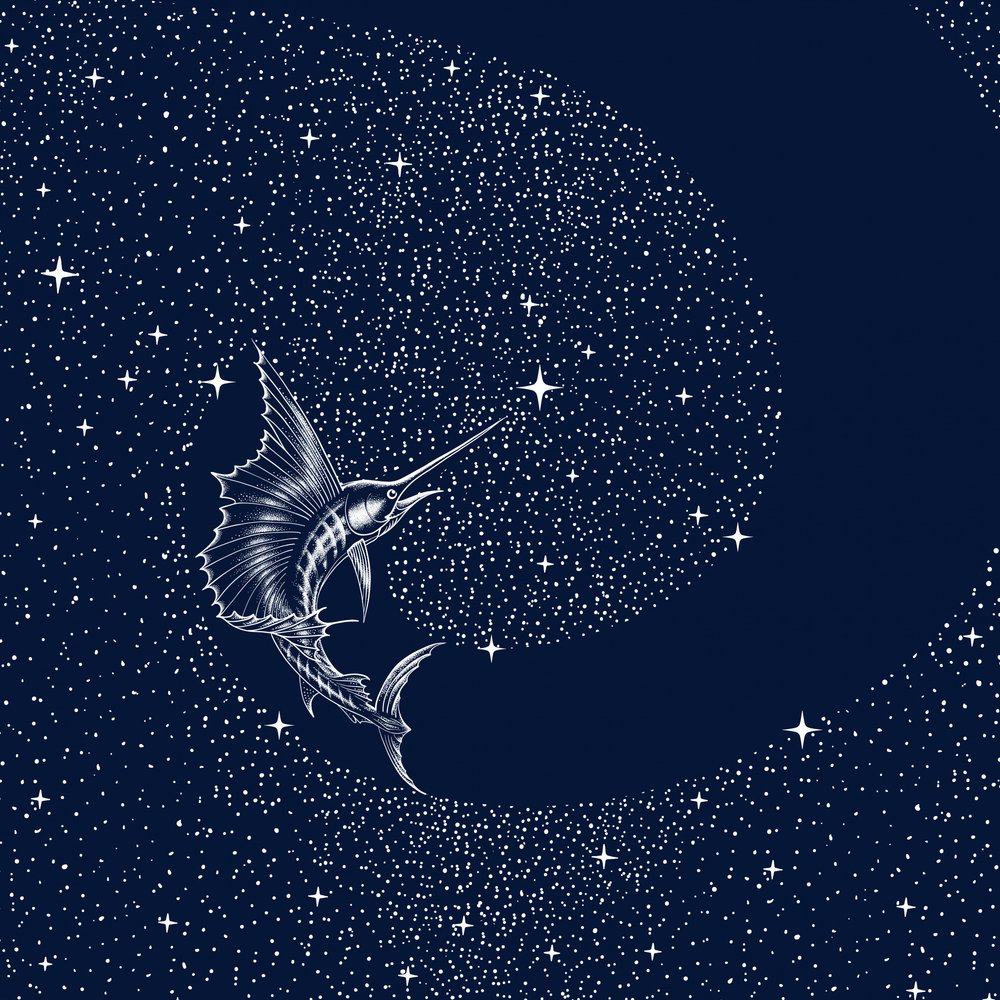 Peixe-vela celestial de Alirıza ÇAKIR