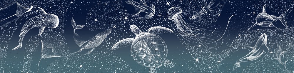 Animais marinhos celestiais de Alirıza ÇAKIR